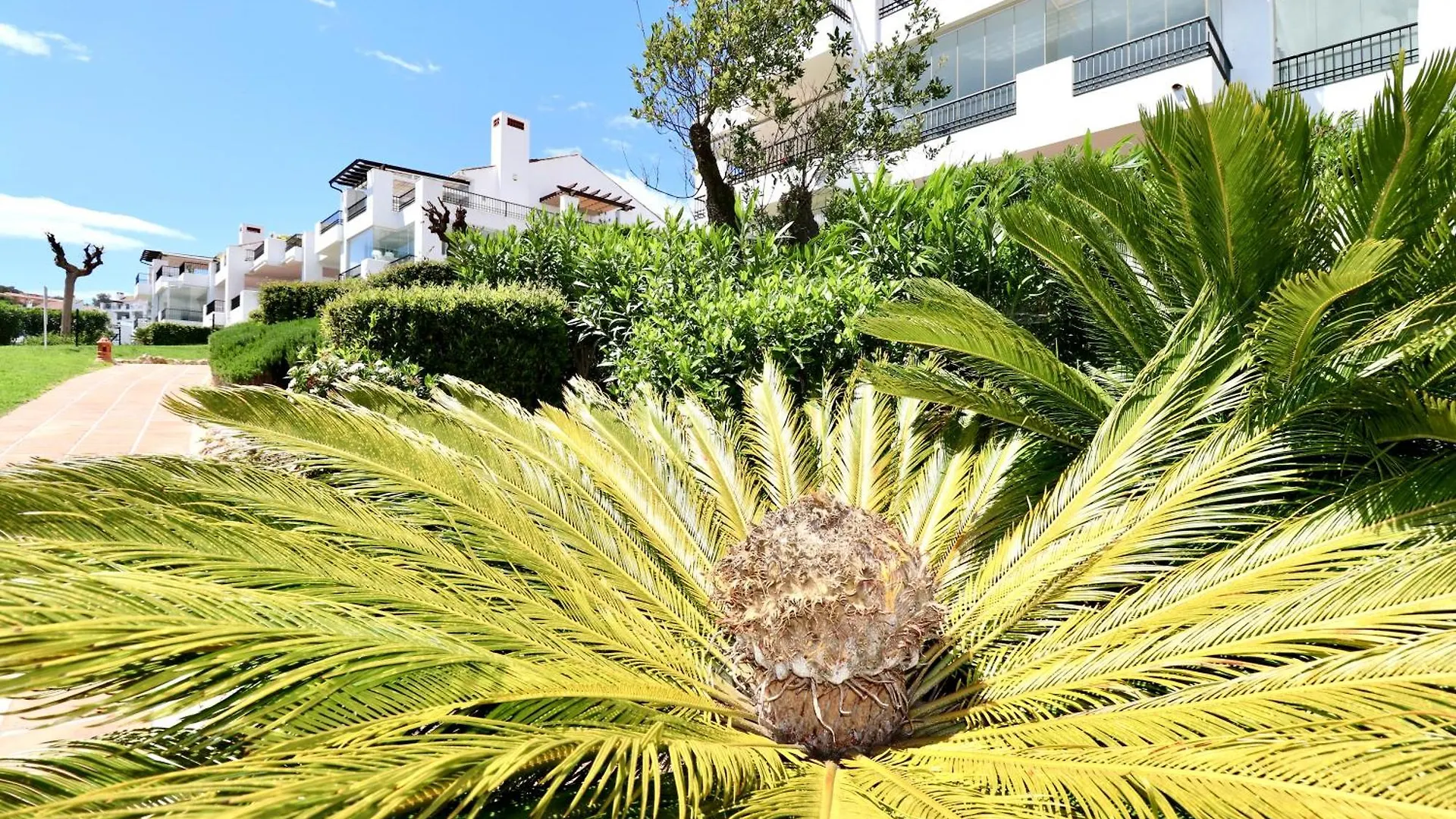 Mirador Marbella Pool Golf Gym Sauna Ojen